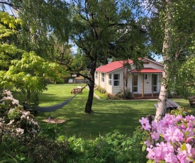 Tailor Made Tekapo Accommodation - Guesthouse & Hostel