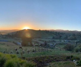 Wake Field Views