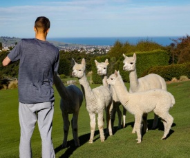 Alpaca Farmstay