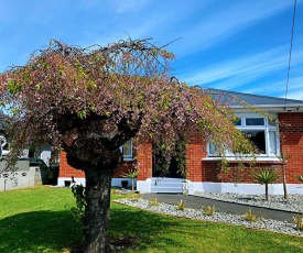 Andersons bay holiday house