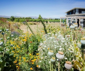 Vineyard View - 246 Riverbank Road, Wanaka