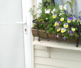 Geranium Cottage-Mt Taranaki