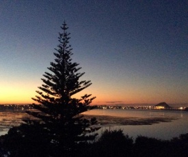 Tauranga Harbour Views