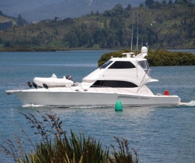 Tides Reach Whitianga