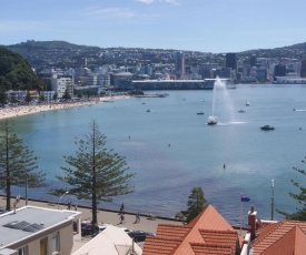 Oriental Bay At Its Best