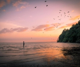 Auckland Clifftop